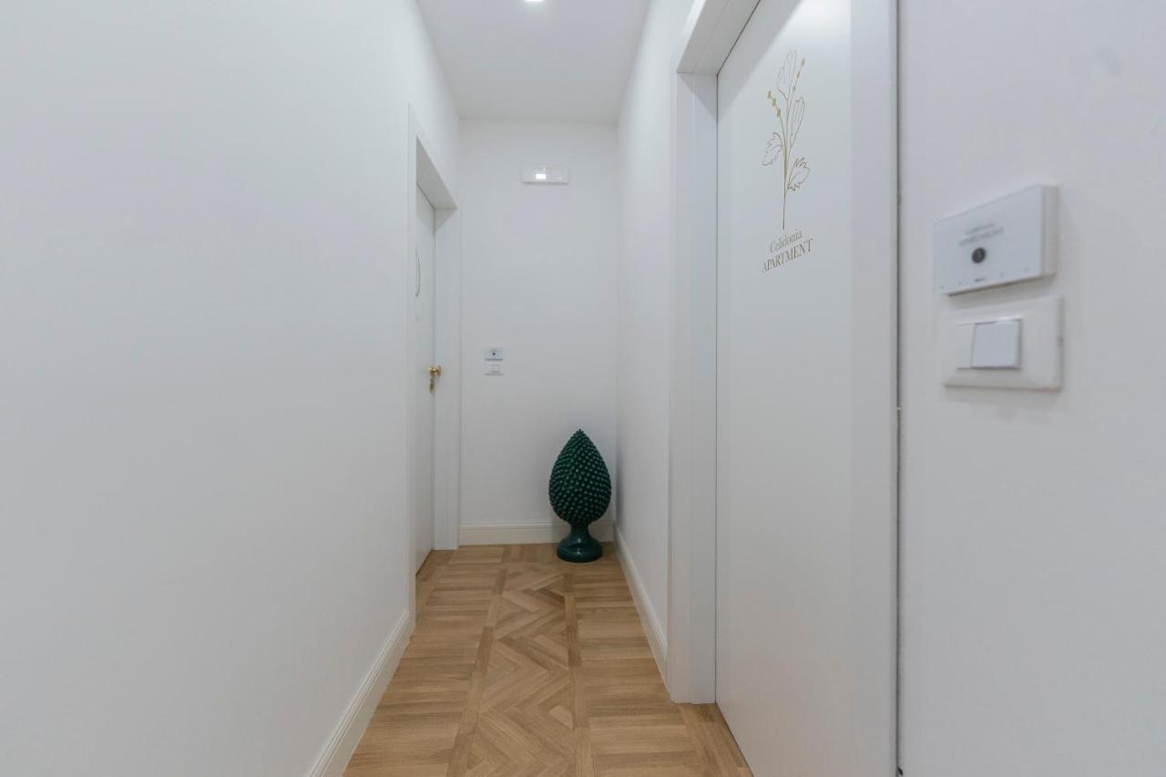 Aldrovandi Luxury Suites And Apartment Boloňa Exteriér fotografie